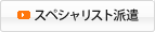 スペシャリスト派遣