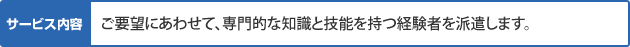ご要望にあわせて、専門的な知識と技術を持つ経験者を派遣します。