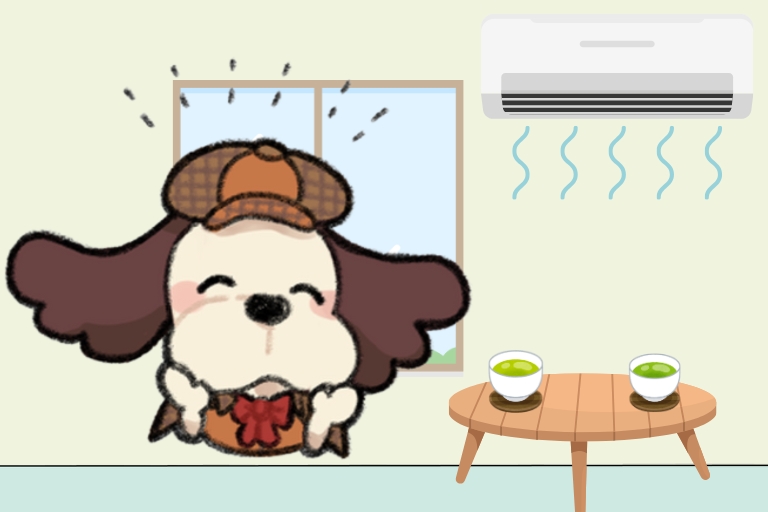 ハッケンくんの部屋